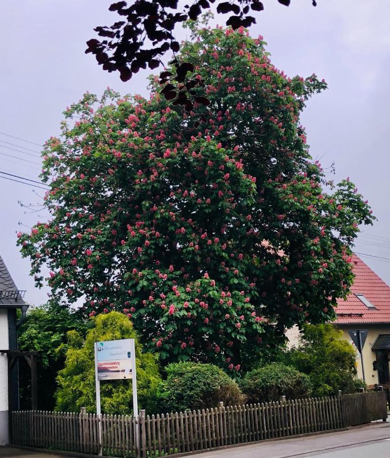 Gemuetliche Fewo Naehe Hachenburg, Bad Marienberg Apartman Langenbach bei Kirburg Kültér fotó